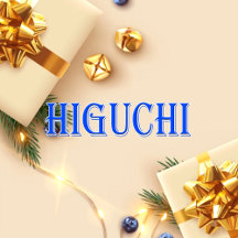 Higuchi_Name T-Shirt