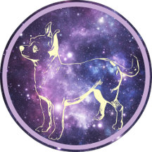 Dog-Themed Shirts and Hats