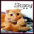 Skippy the Wondercat™