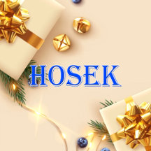 Hosek_Name T-Shirt