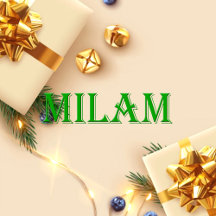 Milam Name Shirt Milam_collection