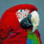 Daves_gift_ideas