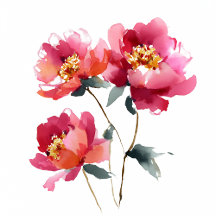 Coral and Pink Peony