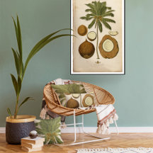 VINTAGE BOTANICAL POSTERS