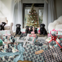 Labrador Love: Pastel Christmas