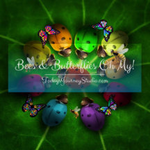 Bees & Butterflies, Oh My!