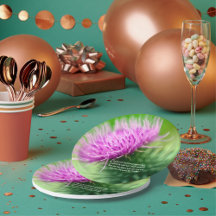 Party supplies and gift wrapping