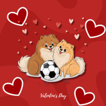 Pomerarias with soccer ball for Valentine's Day