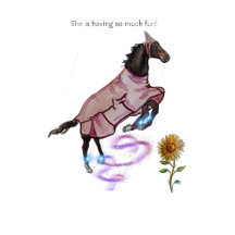 fly boots book merch