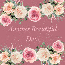 ANOTHER BEAUTIFUL DAY!