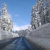 Absolutely_Scenic