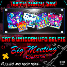 Cat & Unicorn UFO Selfie: Big Meeting