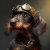 Wiry Wags Designs