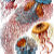 The Art Of Ernst Haeckel