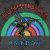 Hummingbird Rainbow