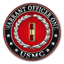 USMC Warrant Officer 1 3D Art by Serge Averbukh