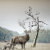Mels_home_decor