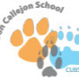 Don Callejon School