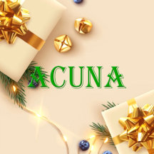 Acuna Name Shirt Acuna_collection