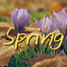 Spring