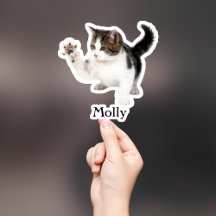 Custom Pet Stickers