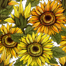 Summer Sunflower