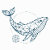 Beluga Designs