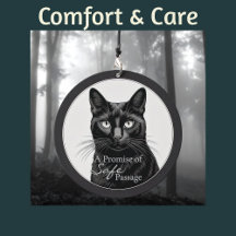 Comfort & Care
