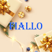 Fiallo_Name T-Shirt