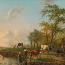 Landscapes