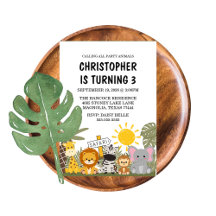 Kid's Safari Birthday Party Collation