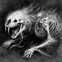 PREDATION