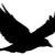 Busy Crow Studio