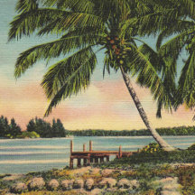 Tropical Gifts
