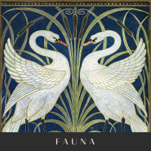 Fauna (Animals)