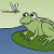 Marsh Baby