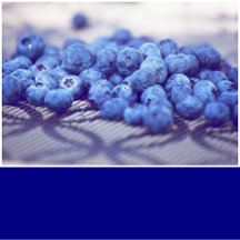 Navy Blue Solid Color