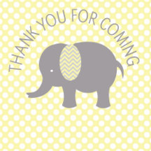 Baby Elephant