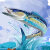 Fish_With_Attitude