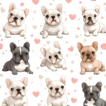  Adorable French Bulldog Collection