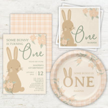 Some Bunny is One 1st Birthday