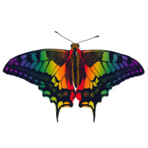 LGBTQIA+