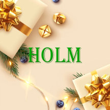 Holm Name Shirt Holm_collection