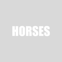 I Love Horses
