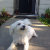 TAGS_AND_TAILS
