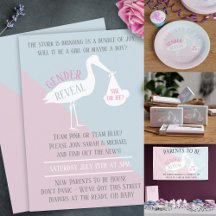 Stork Gender Reveal Party