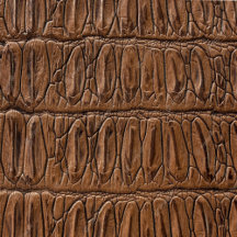 Elegant Brown Crocodile Gifts