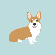 Corgi