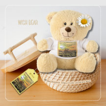 Bear Hugs by Poet Adiela Akoo