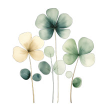 The Green Clover